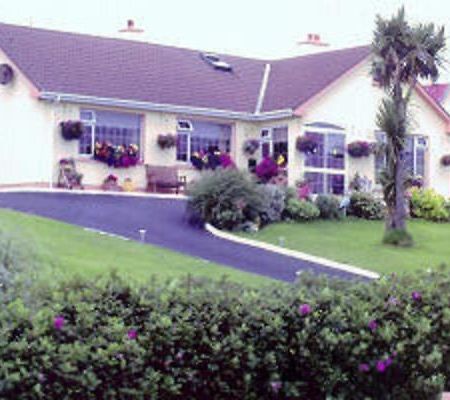 The Yellow Rose B&B Belderg Dış mekan fotoğraf