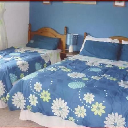 The Yellow Rose B&B Belderg Dış mekan fotoğraf