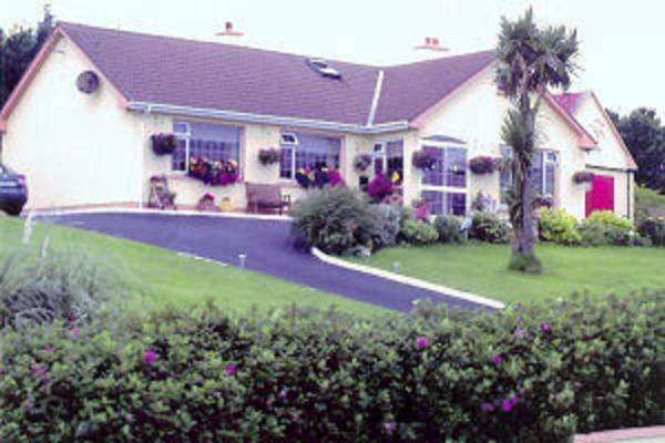 The Yellow Rose B&B Belderg Dış mekan fotoğraf