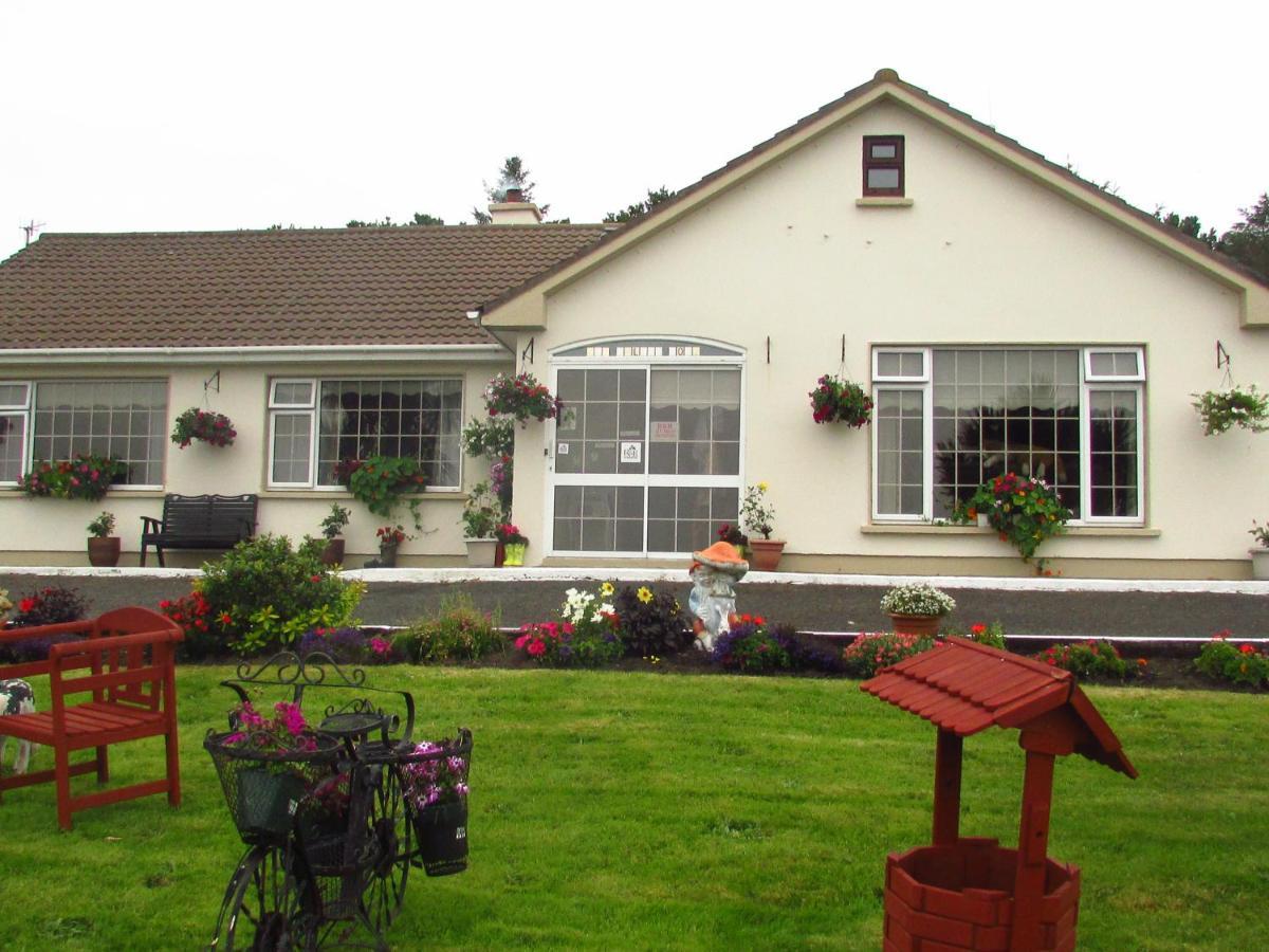 The Yellow Rose B&B Belderg Dış mekan fotoğraf